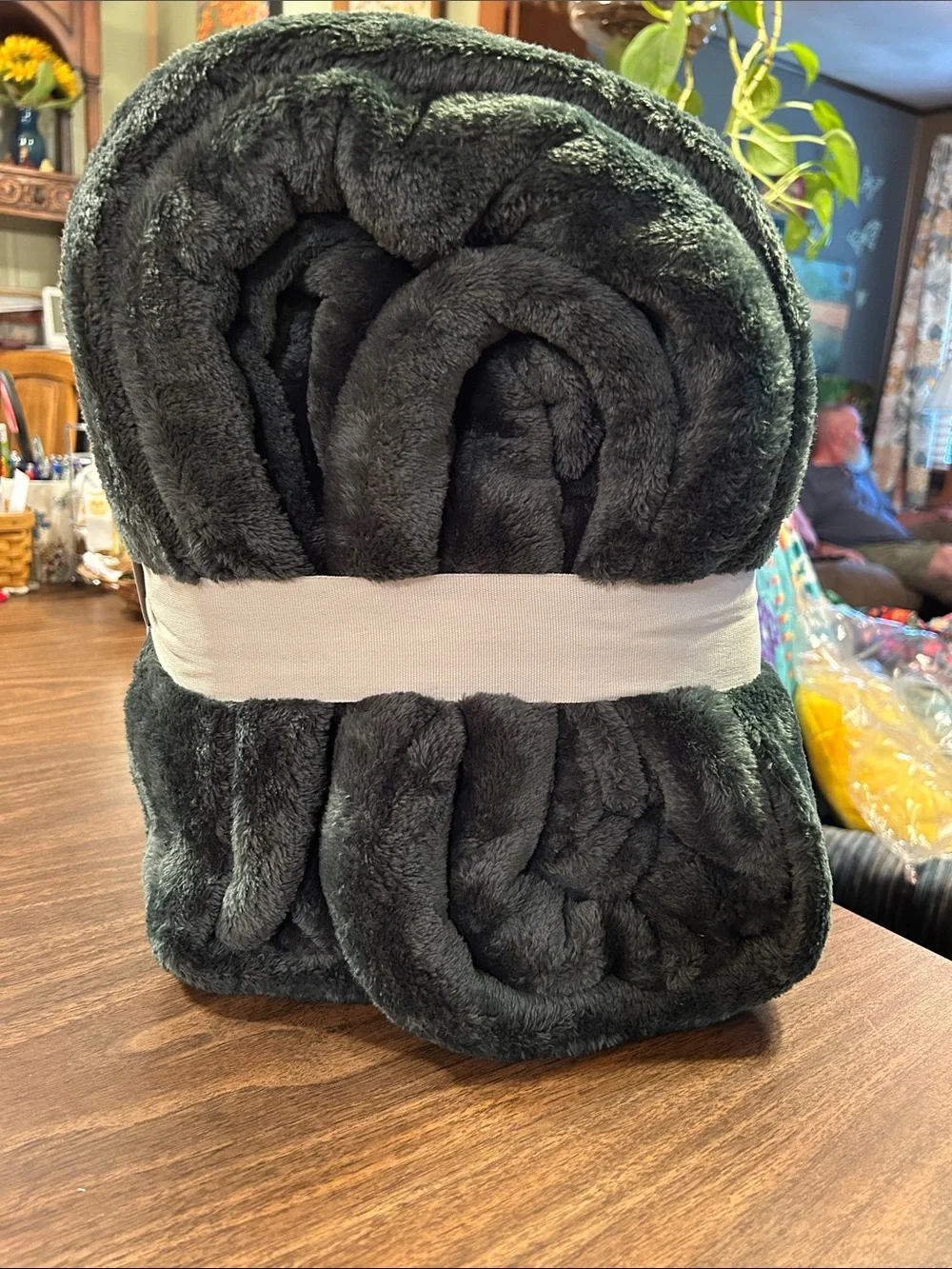 Threshold Microplush Blanket - Deep Green